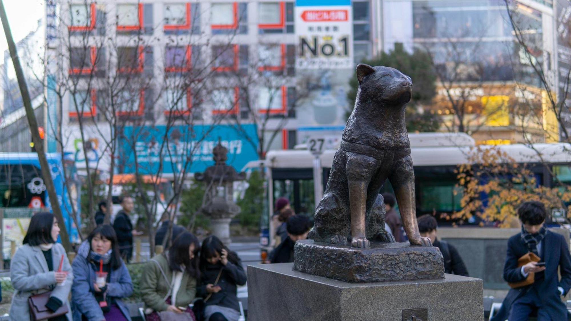 מלון טוקיו Illi Mani Shibuya מראה חיצוני תמונה